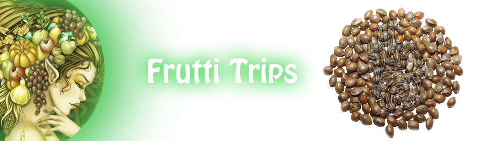 Хиты продаж